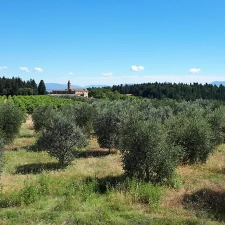 Le Lavande *