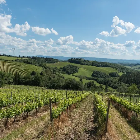 Pensjonat Le Lavande Montespertoli